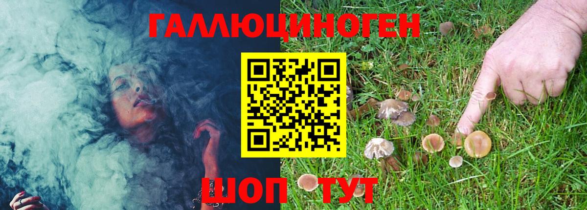 Галлюциногенные грибы Magic Shrooms Сальск