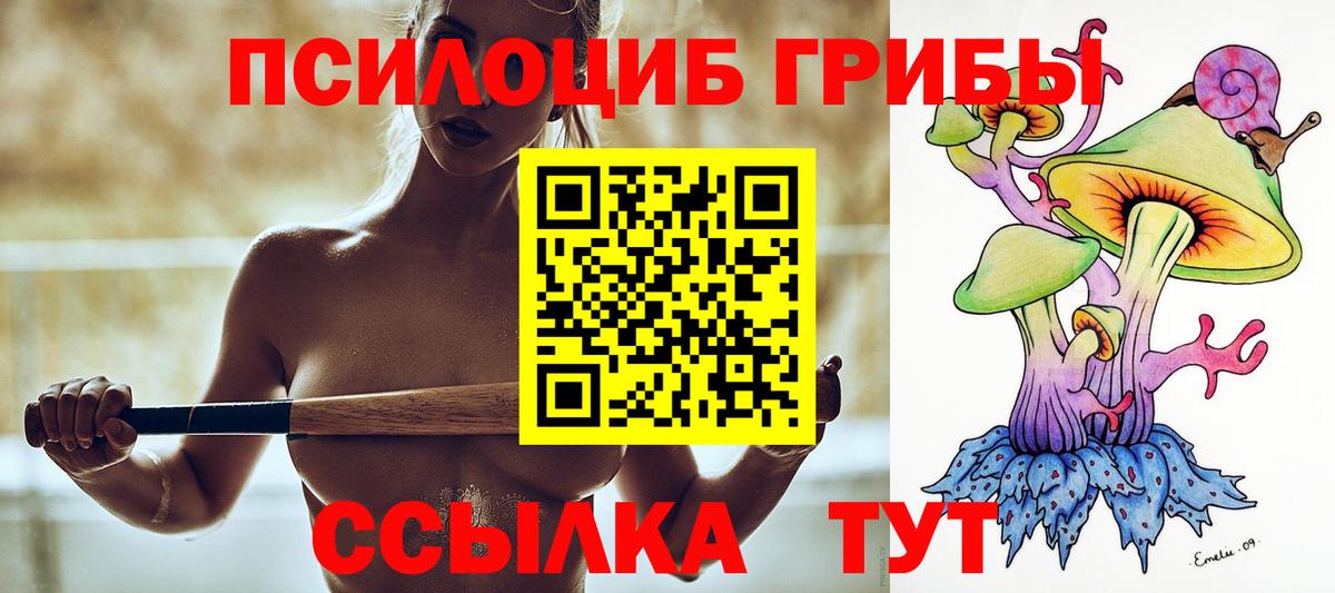 Галлюциногенные грибы Magic Shrooms  магазин  наркотиков  Вход с VPN  Сальск  Псилоцибиновые грибы мицелий 