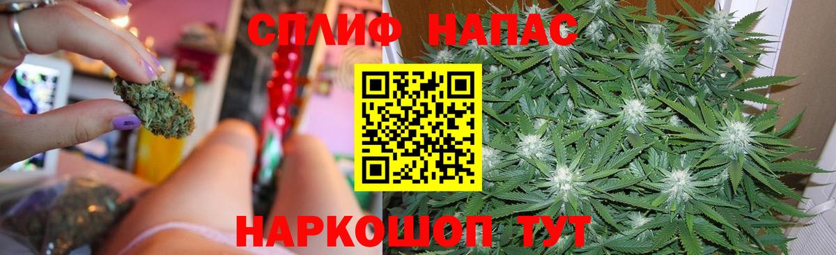 Бошки Шишки планчик  МАРИХУАНА LSD WEED  Марихуана SATIVA & INDICA  Сальск  Вход с VPN  Конопля OG Kush 